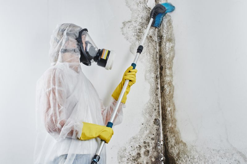 Ceiling Mold Removal in Bergen County, NJ
