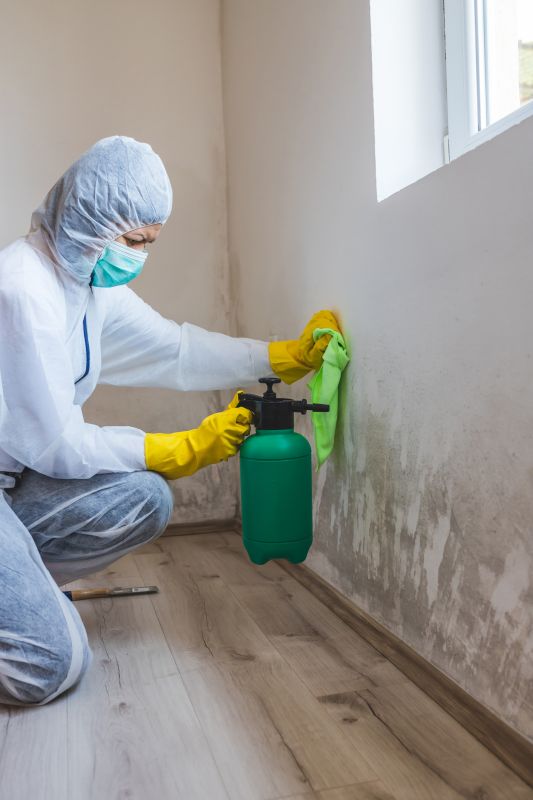 Crawl Space Mold Removal in West Palm Beach, FL