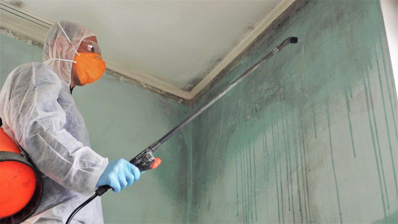 Crawlspace Mold Remediation in Boca Raton, FL