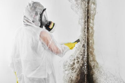 Mold Cleanup Service in Broward County, FL
