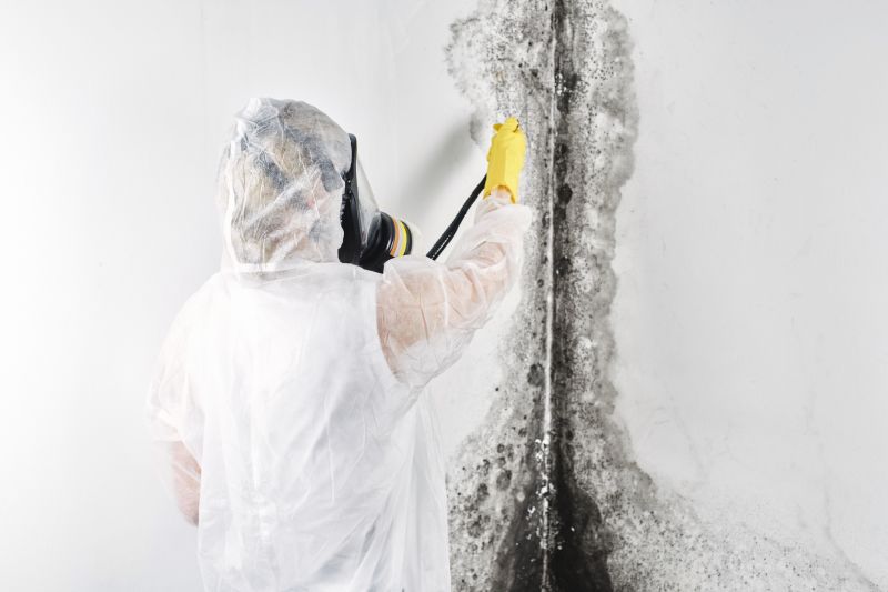 Mold Remediation Service in West Palm Beach, FL