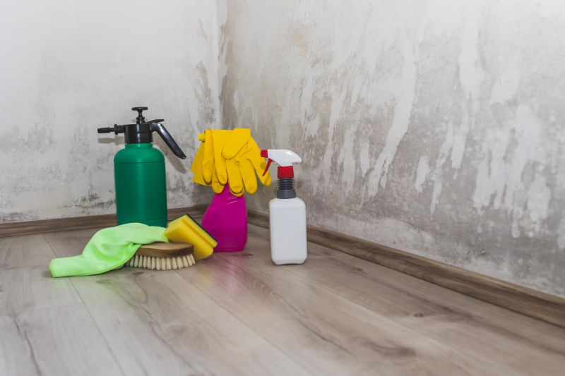 Mold Remediation Service in Frisco, TX
