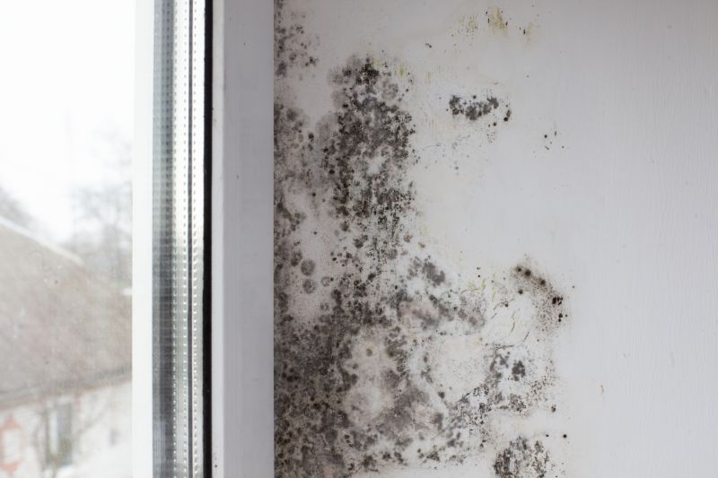 Mold Treatment Service in Boca Raton, FL
