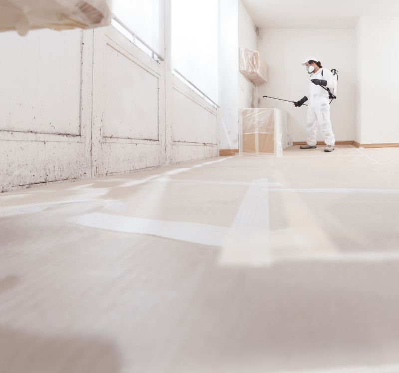 Crawl Space Mold Removal in Fort Lauderdale, FL