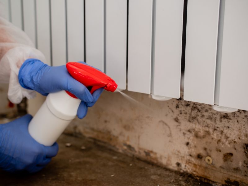Garage Mold Remediation in Boca Raton, FL