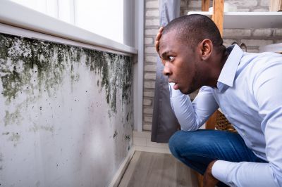 Mold Control in Palm Beach County, FL