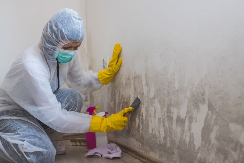 Mold Removal in Dallas, TX